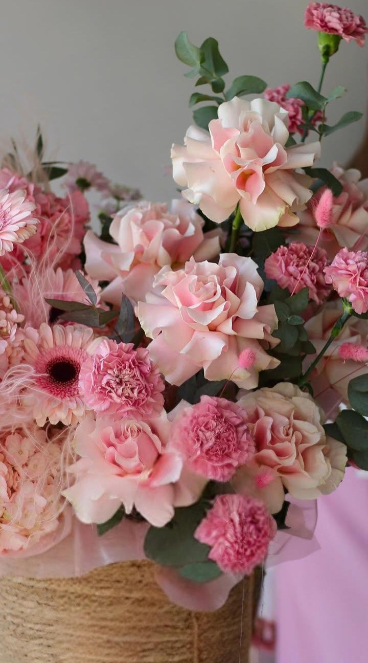 Untitled Apr29_12:23