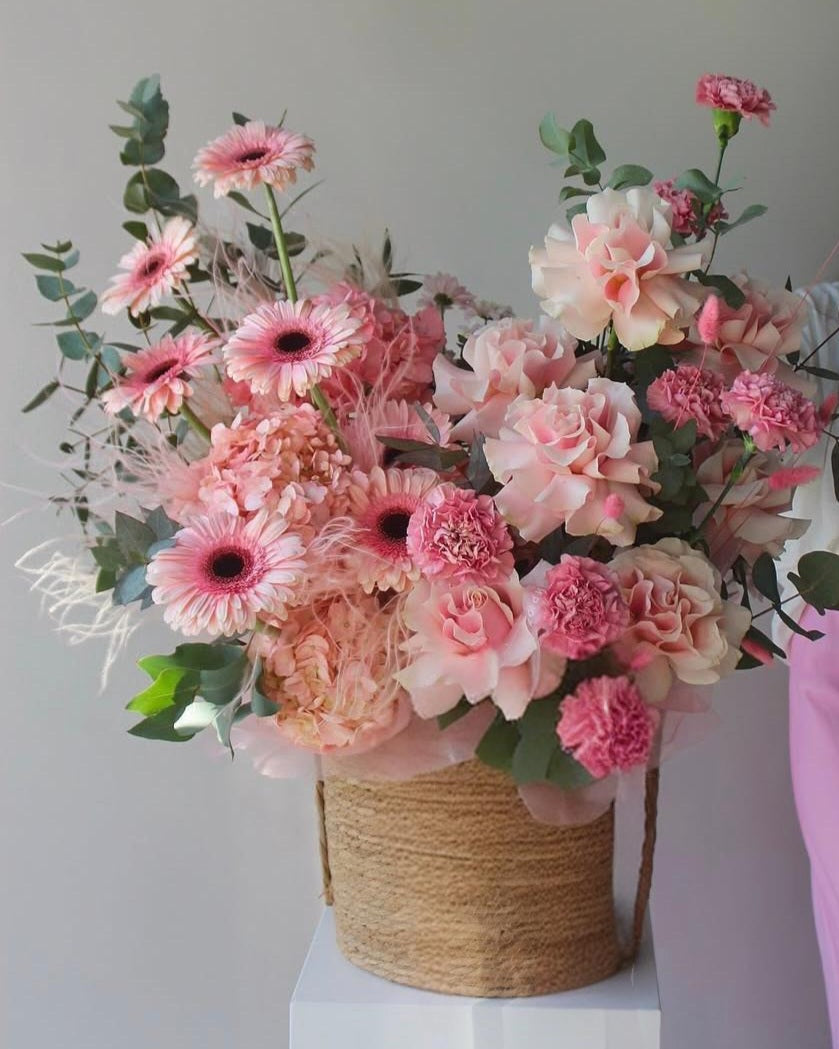 Untitled Apr29_12:23