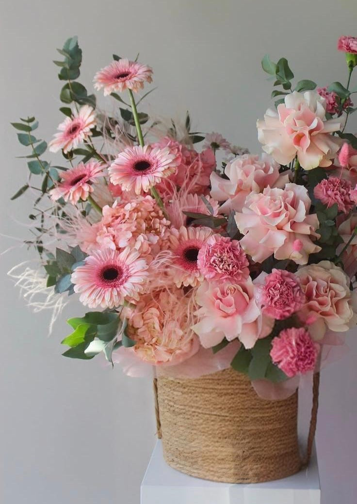 Untitled Apr29_12:23