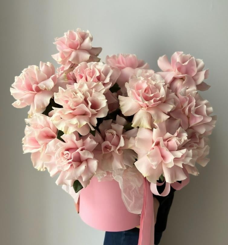 French Roses Pink Mondiale