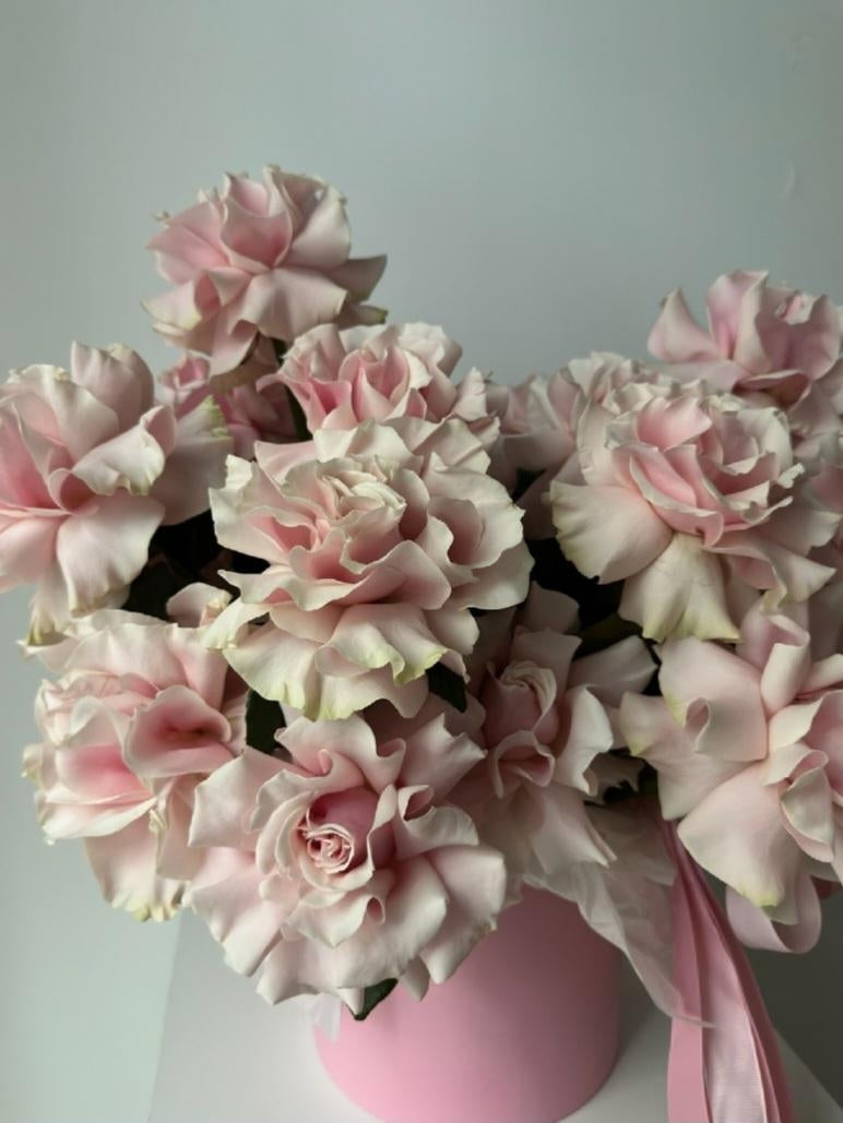 French Roses Pink Mondiale
